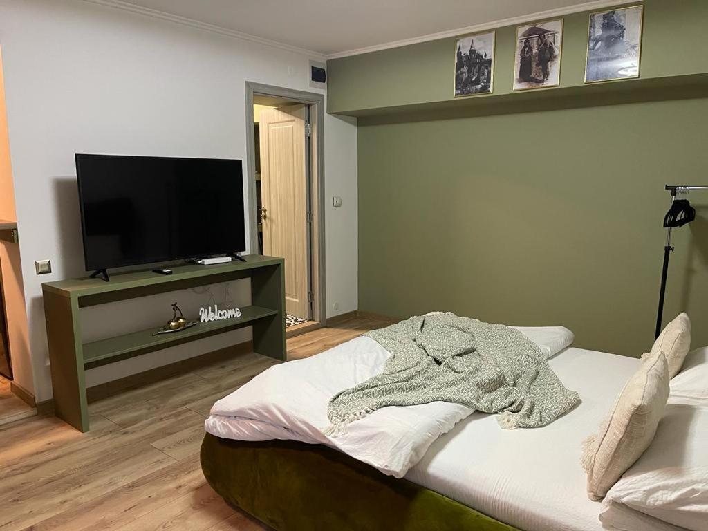 Ferienwohnung Magic Green Studio Hunedoara Exterior foto